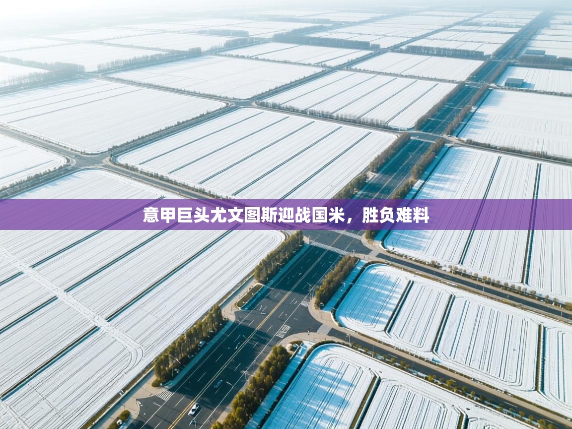 意甲巨头尤文图斯迎战国米,胜负难料 第1张