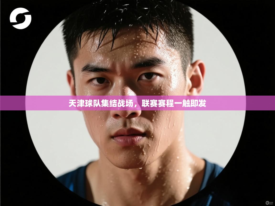 天津球队集结战场，联赛赛程一触即发  第2张
