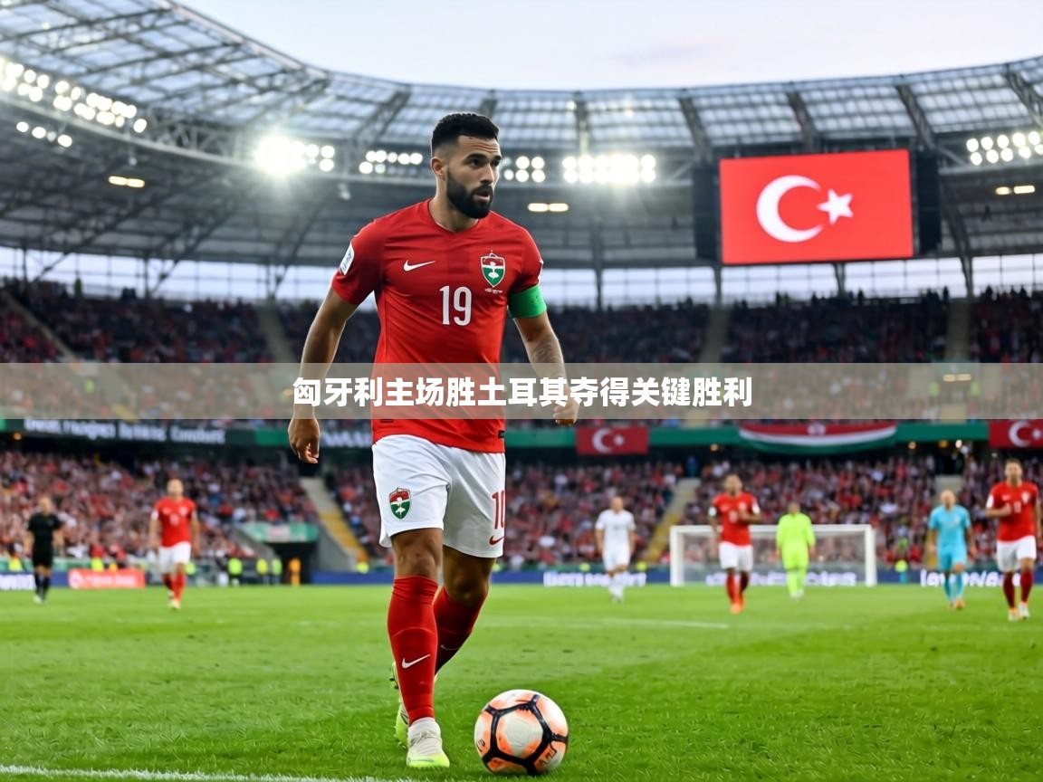 匈牙利主场胜土耳其夺得关键胜利 第2张